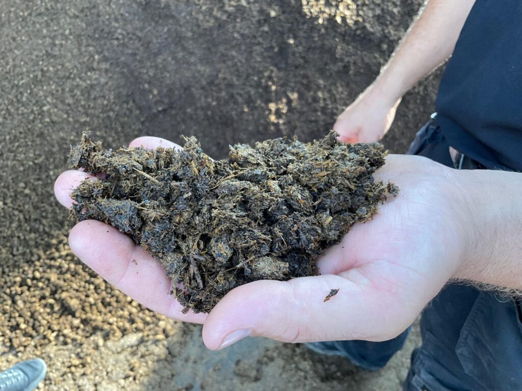 WhatsApp Image 2024-09-30 at 10.39.54 copia